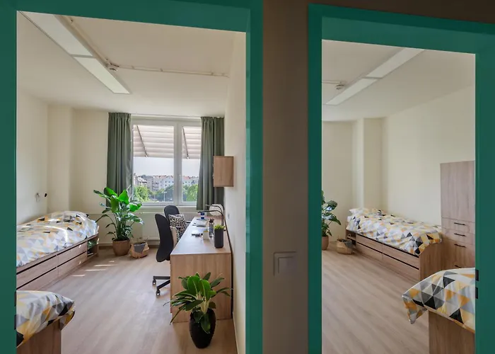 Moricz Student Living Hostal *